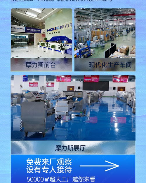 食品工廠蘿卜加工流水線 果蔬加工成套設備